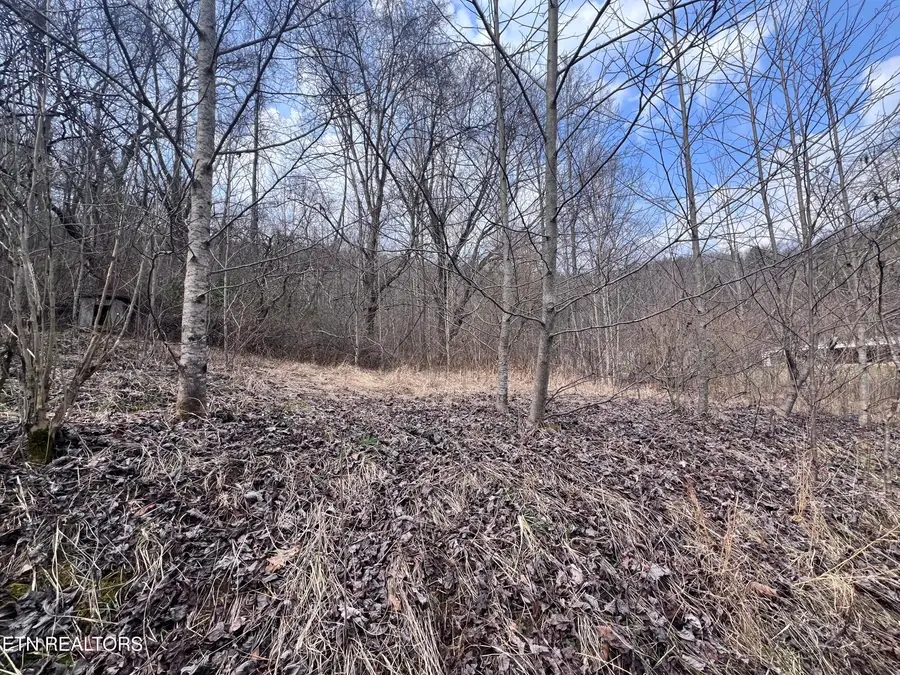 603 Sled Creek Rd, Duff, TN 37729 - #3