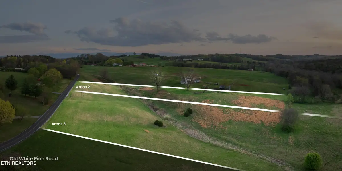 Old White Pine, 5.95 Acres Rd, White Pine, TN 37890 - #1