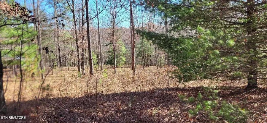 Lot 170 Saddle Dr, Jamestown, TN 38556 - #2