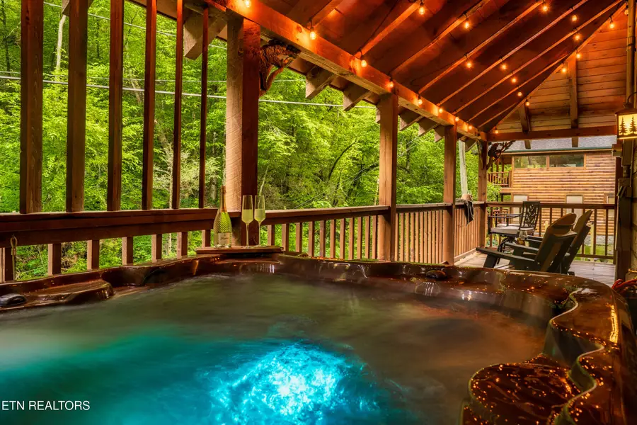 347 Caney Creek Rd, Pigeon Forge, TN 37863 - #3