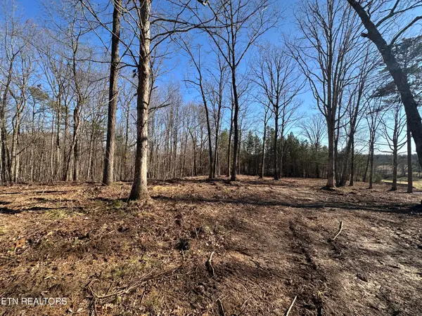 14.53 Ac Pickett Park Hwy, Jamestown, TN 38556