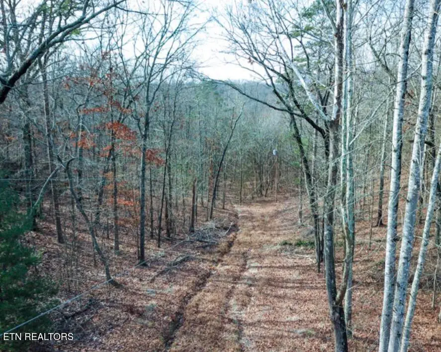 Hall / Tarwater St, Rockwood, TN 37854 - #1