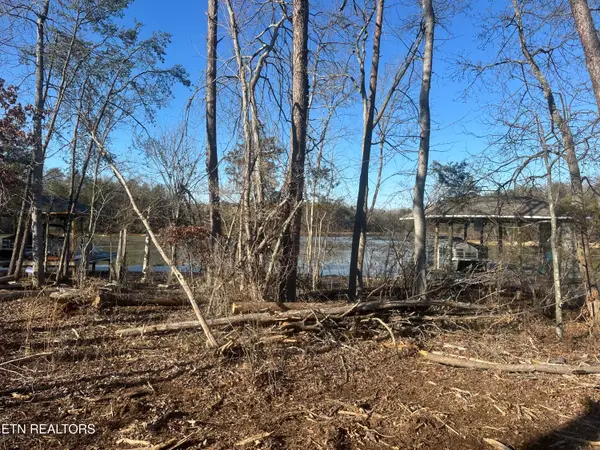 Lot 14 Falcon Tr, Vonore, TN 37885