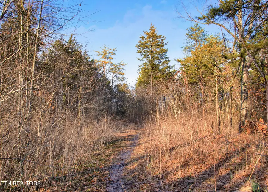 748 & 750 Hialeah Drive, Knoxville, TN 37920 - #2