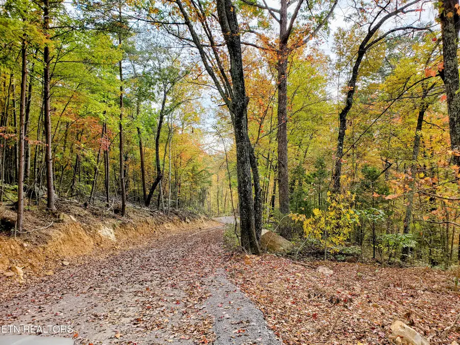 5960 Poor Valley Rd, Rutledge, TN 37861 - #2