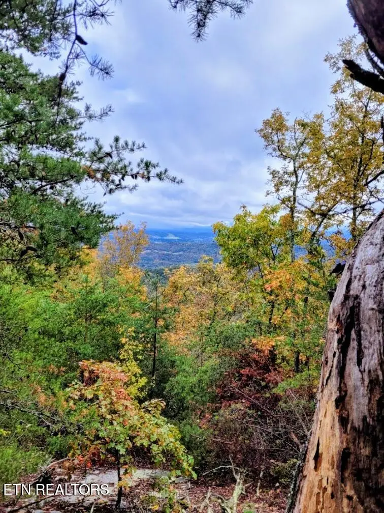 5960 Poor Valley Rd, Rutledge, TN 37861 - #3