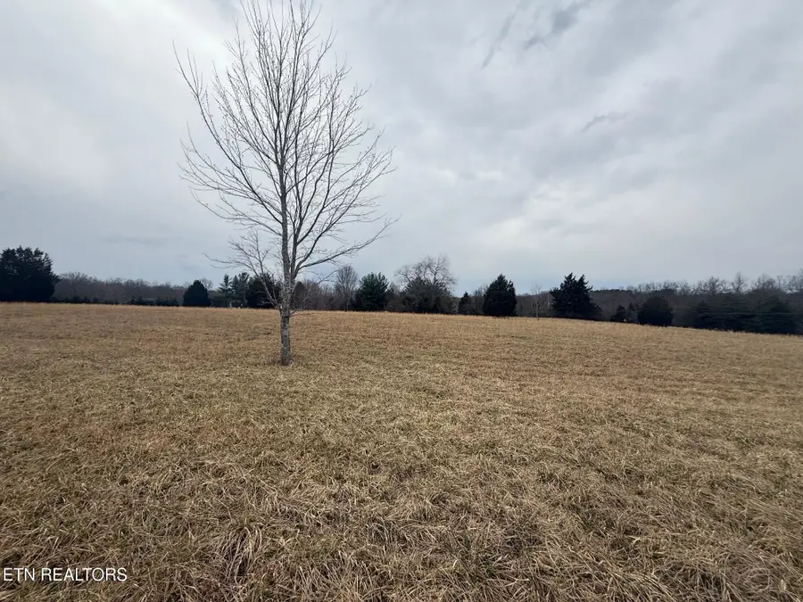 Maple Point Lane - Lot 11, Crossville, TN 38555 - #3