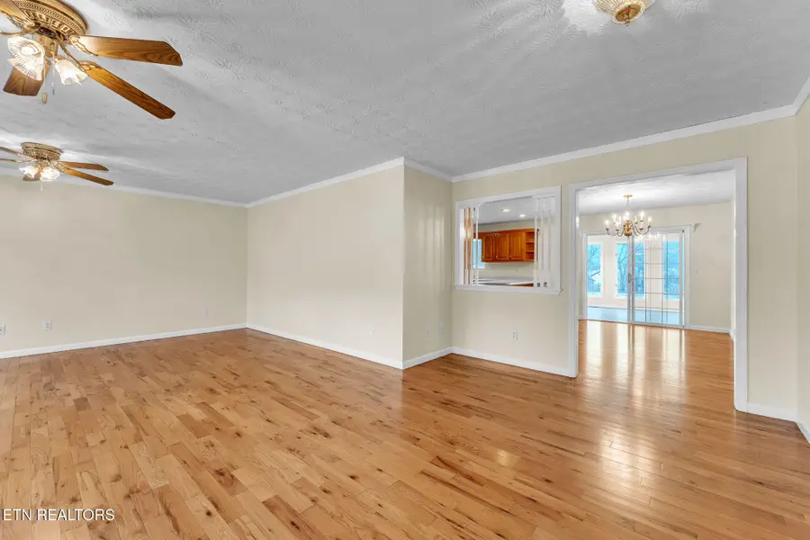 305 Medlin Pike, Evensville, TN 37332 - #3