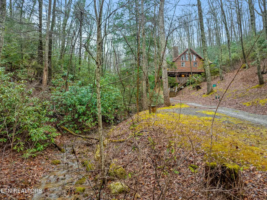 3824 Bear Camp Way, Sevierville, TN 37862 - #3