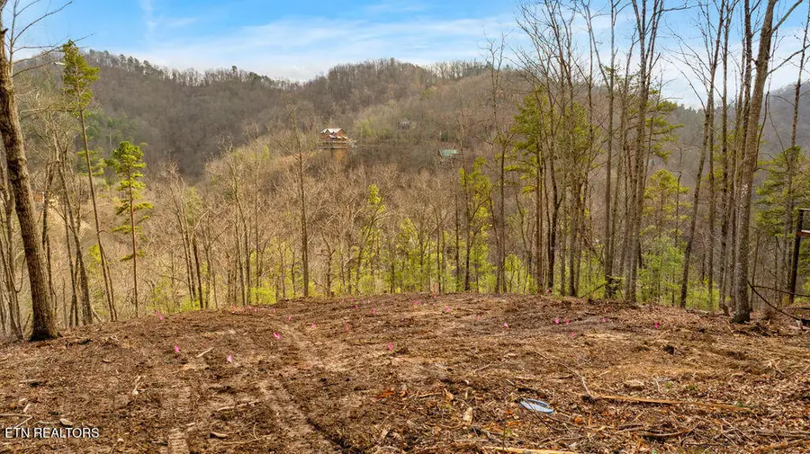 3129 Hatcher Top Rd, Sevierville, TN 37862 - #2