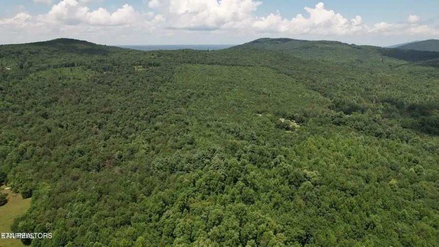 Shady Oaks Drive, Spring City, TN 37381 - #3