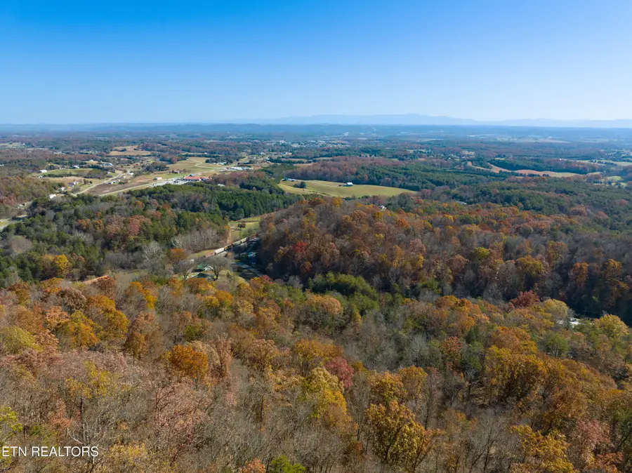310 Tom White Hollow Rd, Mohawk, TN 37810 - #2
