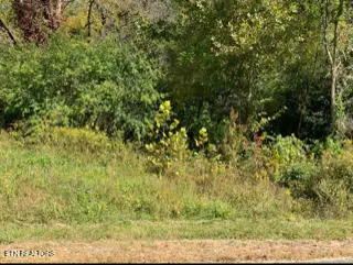 624 Thompson Creek Lane, Cookeville, TN 38506 - #1