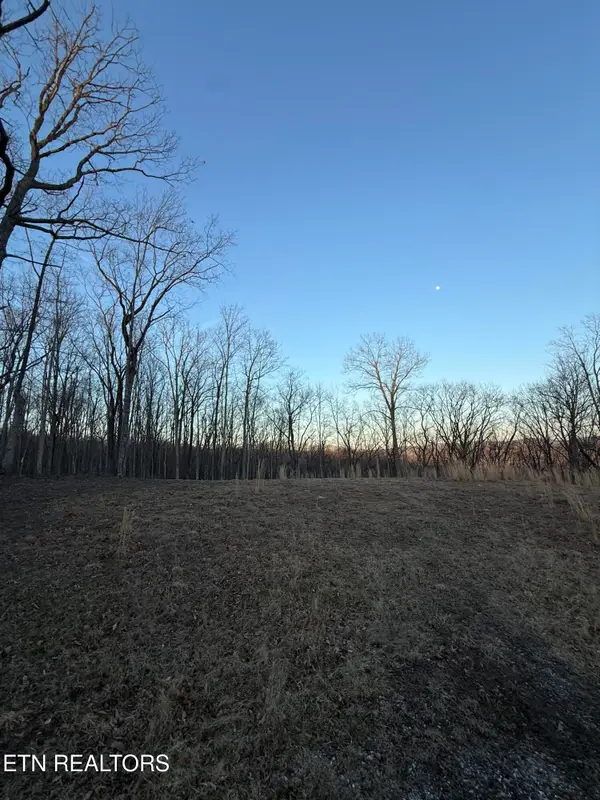 Hunter Hills Drive, Oneida, TN 37841