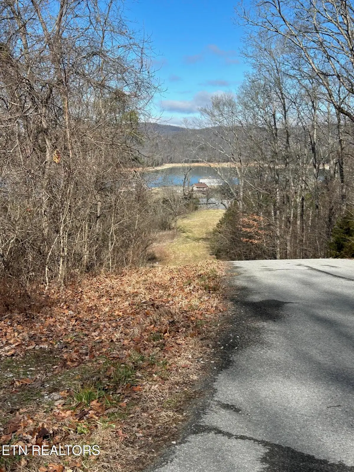 lot 344 Larayne Hollow Rd, Sharps Chapel, TN 37866 - #1