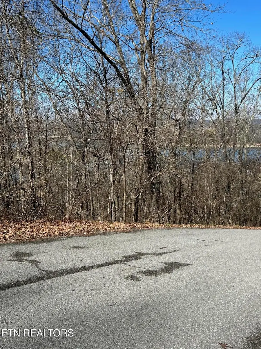 lot 344 Larayne Hollow Rd, Sharps Chapel, TN 37866 - #2