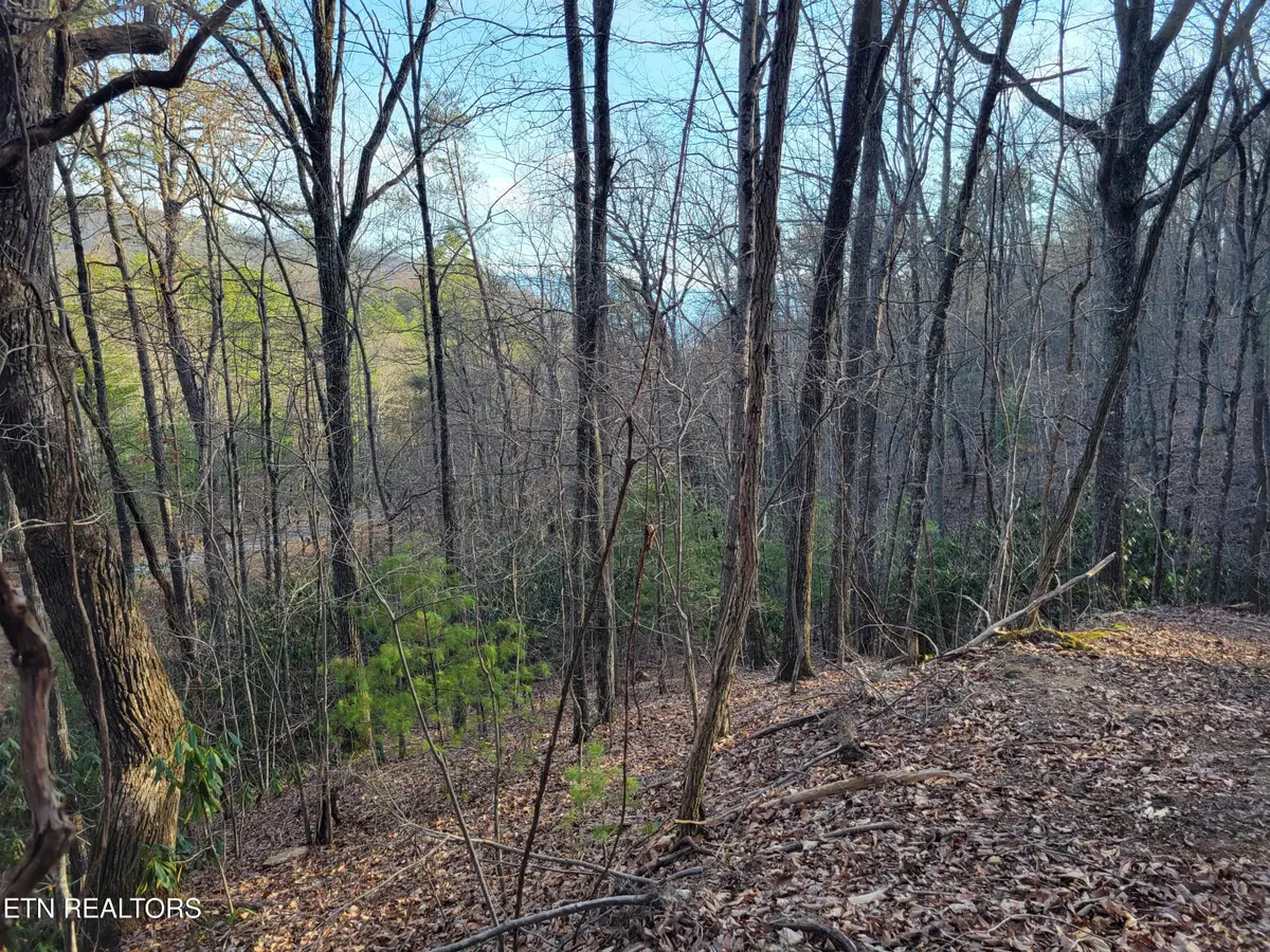Lot 5 Swann Saddle, Sevierville, TN 37876 - #1