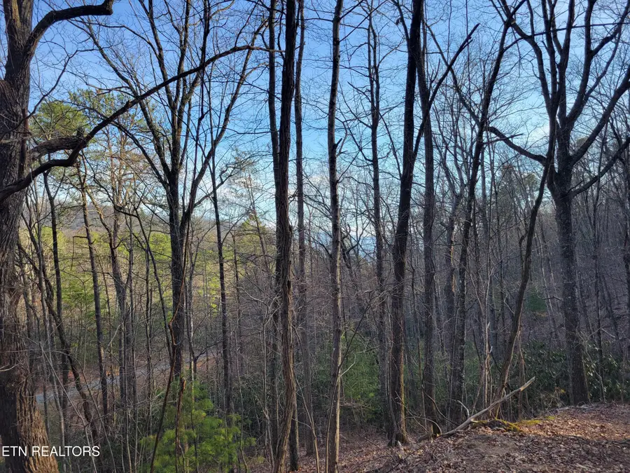 Lot 5 Swann Saddle, Sevierville, TN 37876 - #2