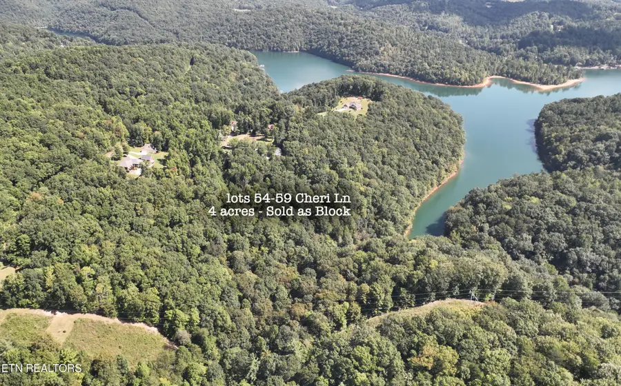 Lot 54-59 Cheri Lane, Caryville, TN 37714 - #3