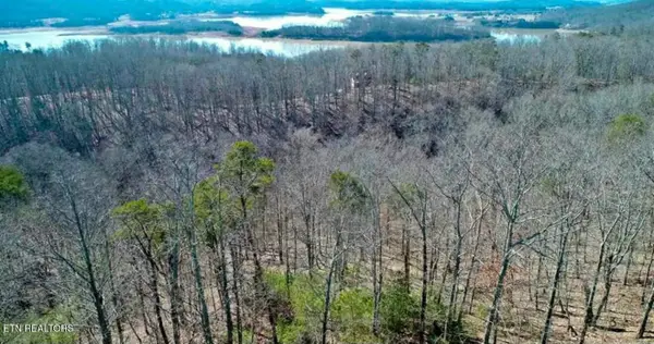 1410 Echota Lane, Mooresburg, TN 37811