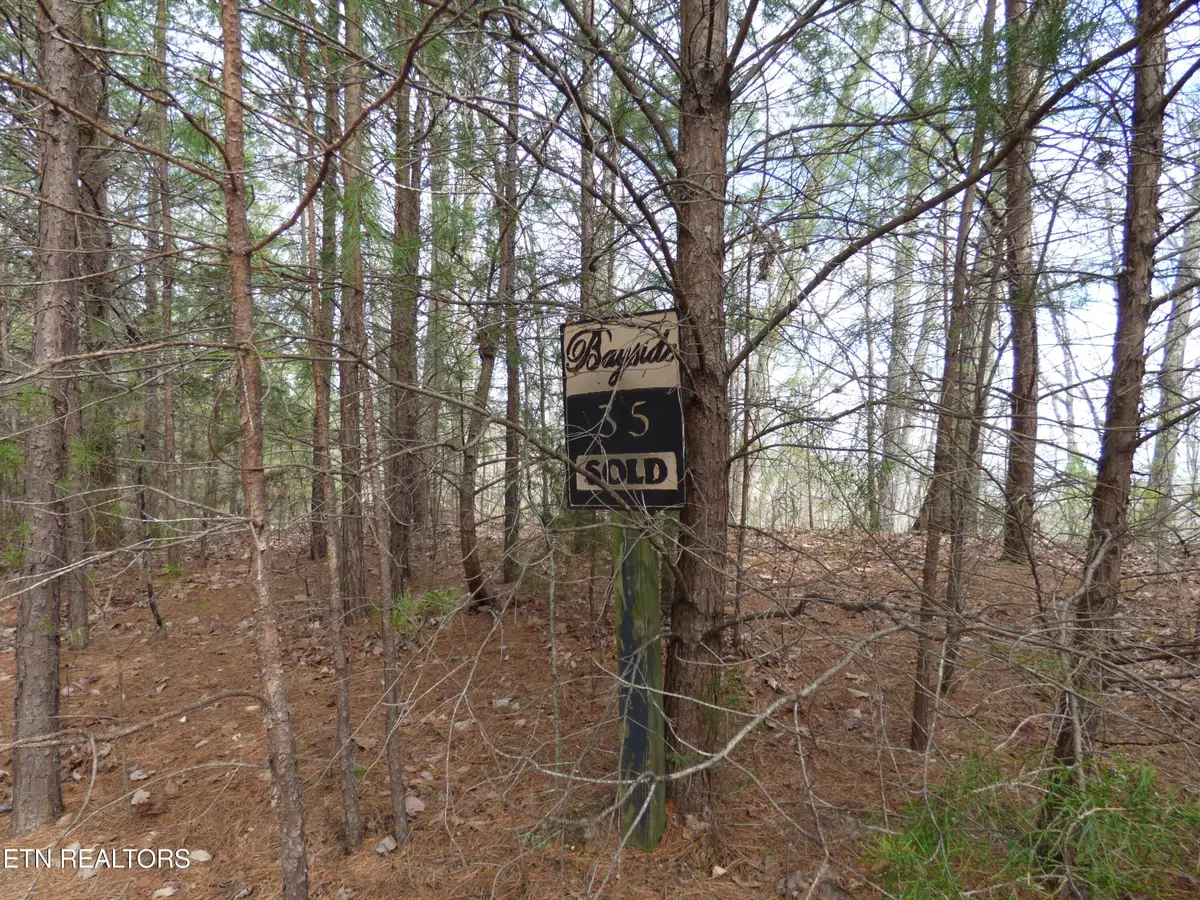 Bayside Blvd #Lot 35, Bean Station, TN 37708 - #1
