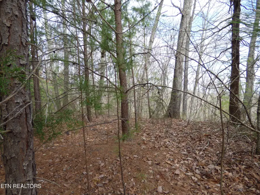 Bayside Blvd #Lot 35, Bean Station, TN 37708 - #3