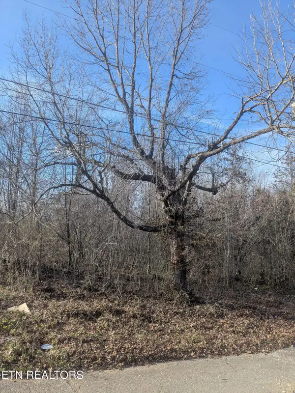 1425 Lewis Ave, Knoxville, TN 37920