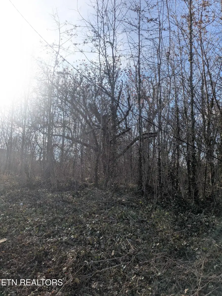 1425 Lewis Ave, Knoxville, TN 37920 - #3