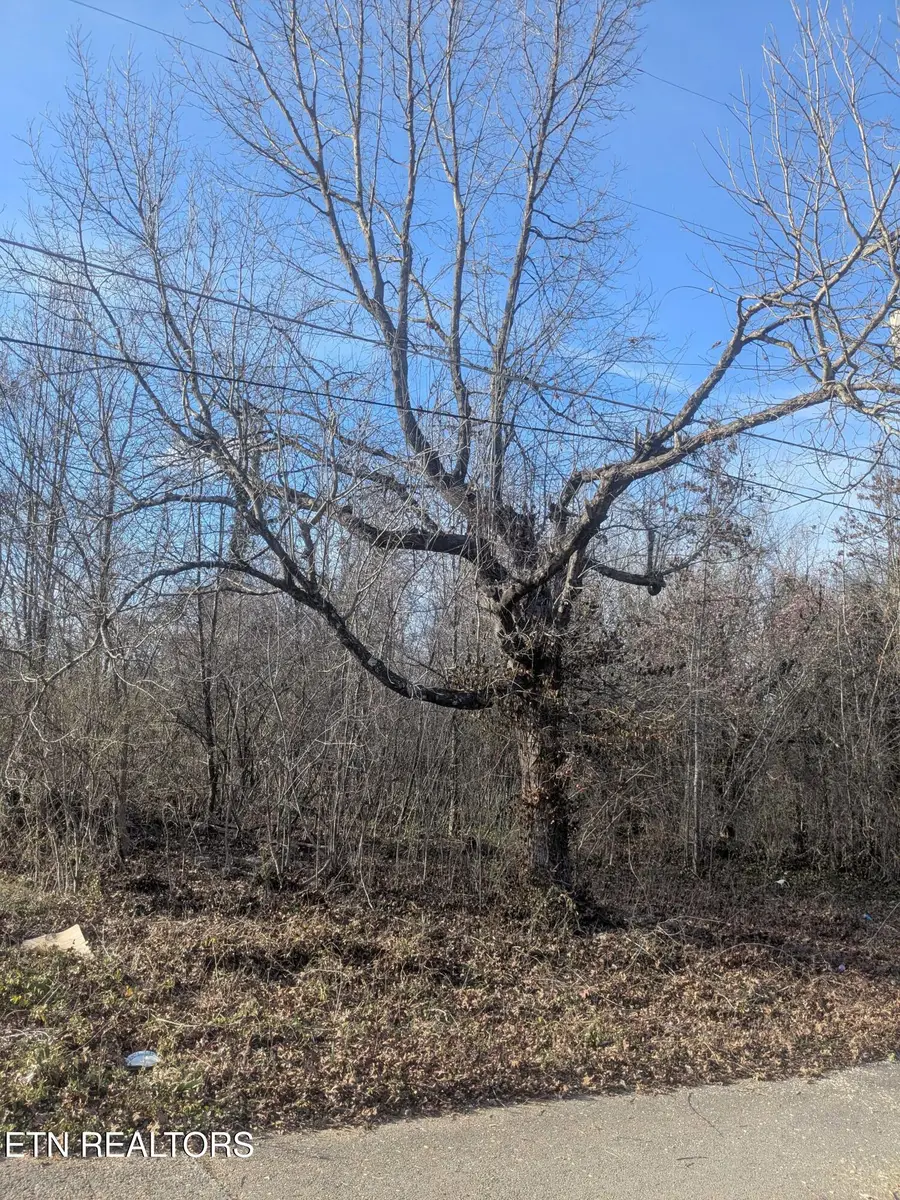 1429 Lewis Ave, Knoxville, TN 37920 - #2