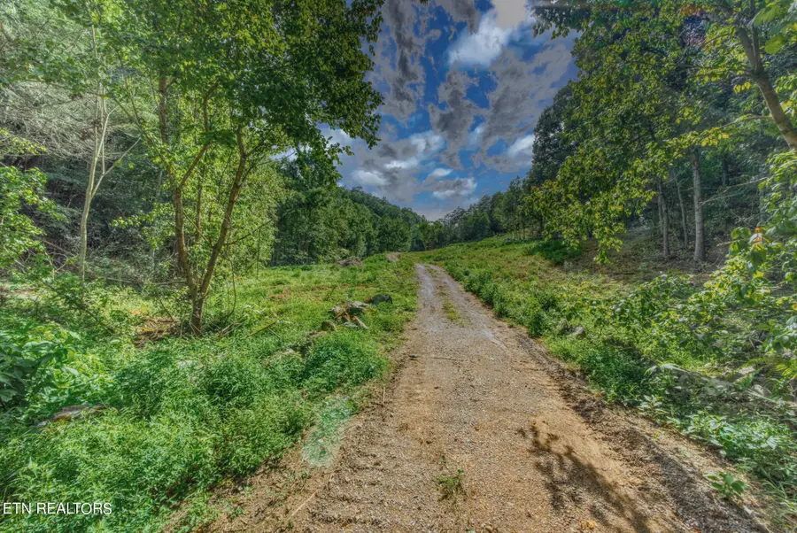 1670 Jobey Green Hollow Rd, Sevierville, TN 37876 - #3