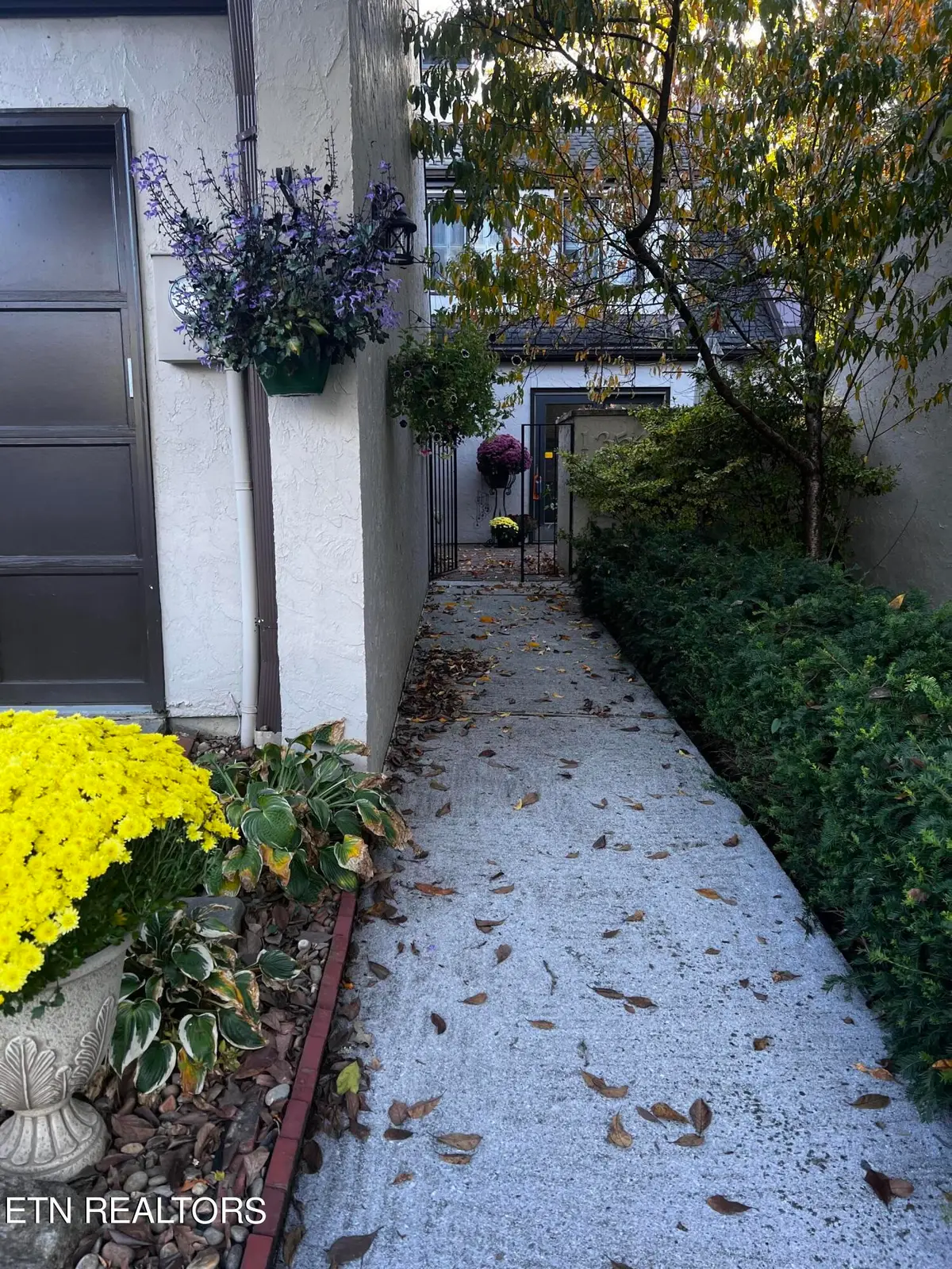 1354 Orleans Drive, Knoxville, TN 37919 - #1