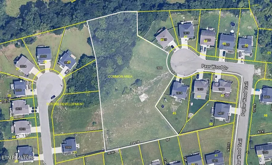 1820 Pear Wood & 0 Mahogany Wood Tr, Knoxville, TN 37920 - #2