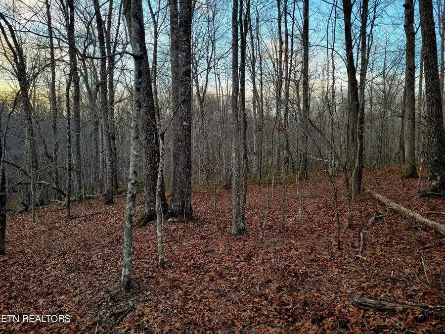 14 Creek Place, Monterey, TN 38574 - #2