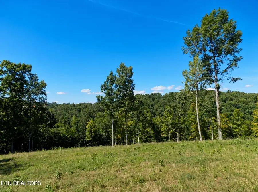 Lot 35 Graystone Shoals, Morristown, TN 37814 - #2