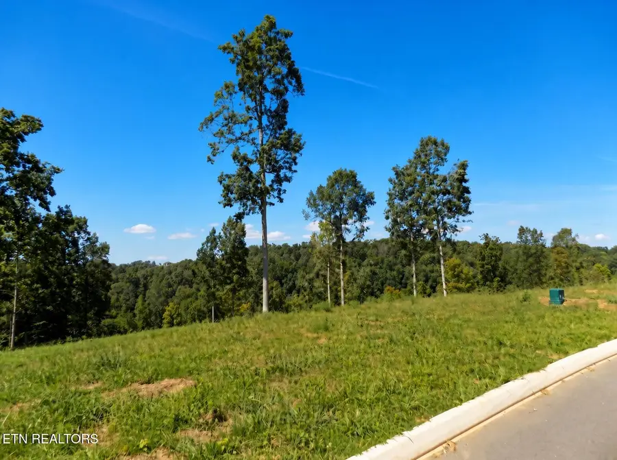 Lot 35 Graystone Shoals, Morristown, TN 37814 - #3