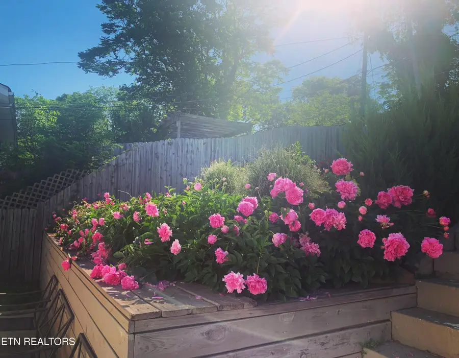 116 E Columbia Ave, Knoxville, TN 37917 - #3