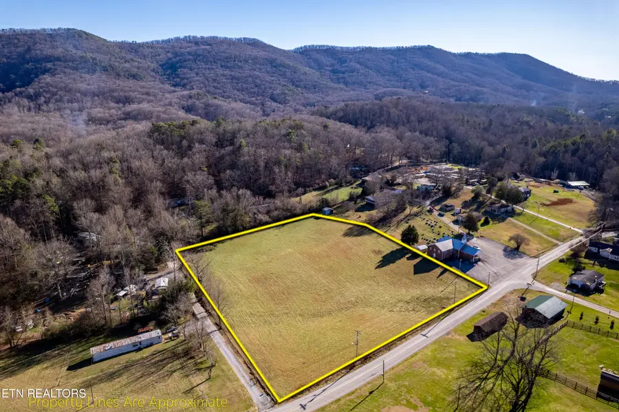 4510 Rocky Branch Rd, Walland, TN 37886 - #3