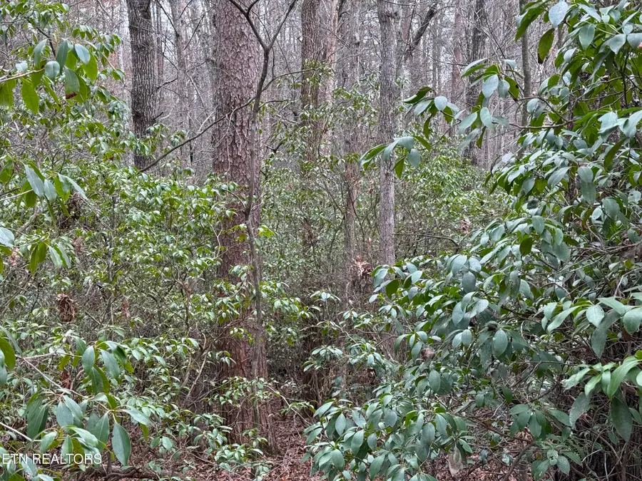 Street Place Loop, Monterey, TN 38574 - #2