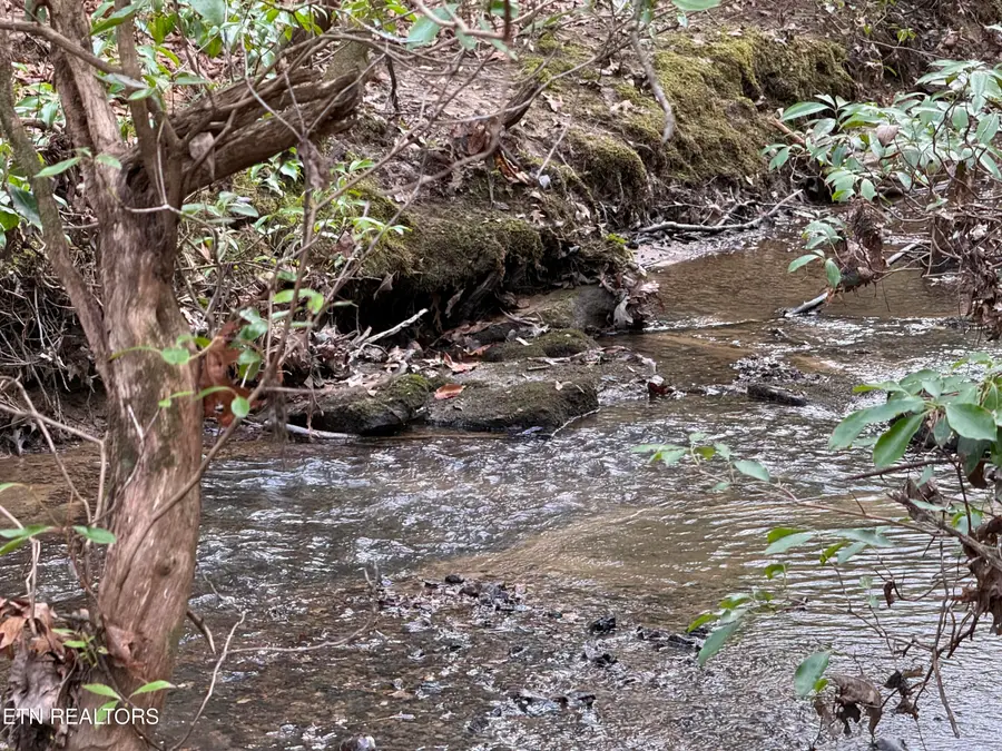 Street Place Loop, Monterey, TN 38574 - #3