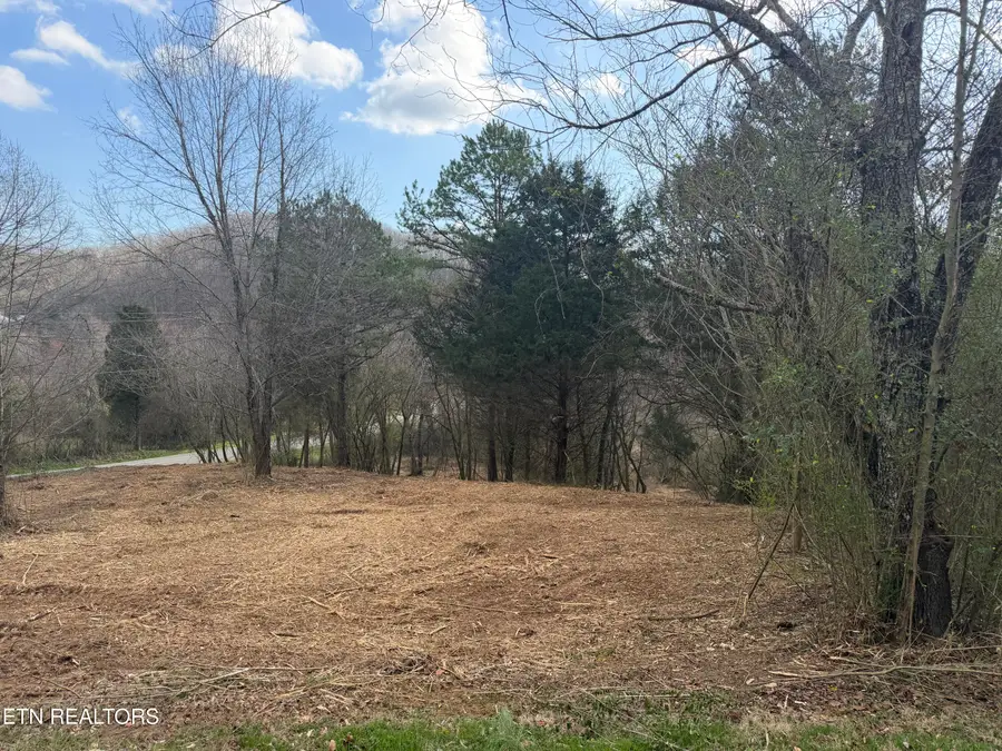 100 Oonoga Way, Loudon, TN 37774 - #3