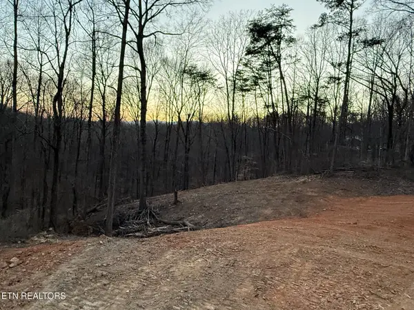 Island Ford Rd, Rocky Top, TN 37769