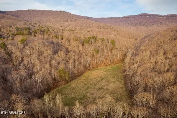 0 Buffalo Cove Lane, Jamestown, TN 38556