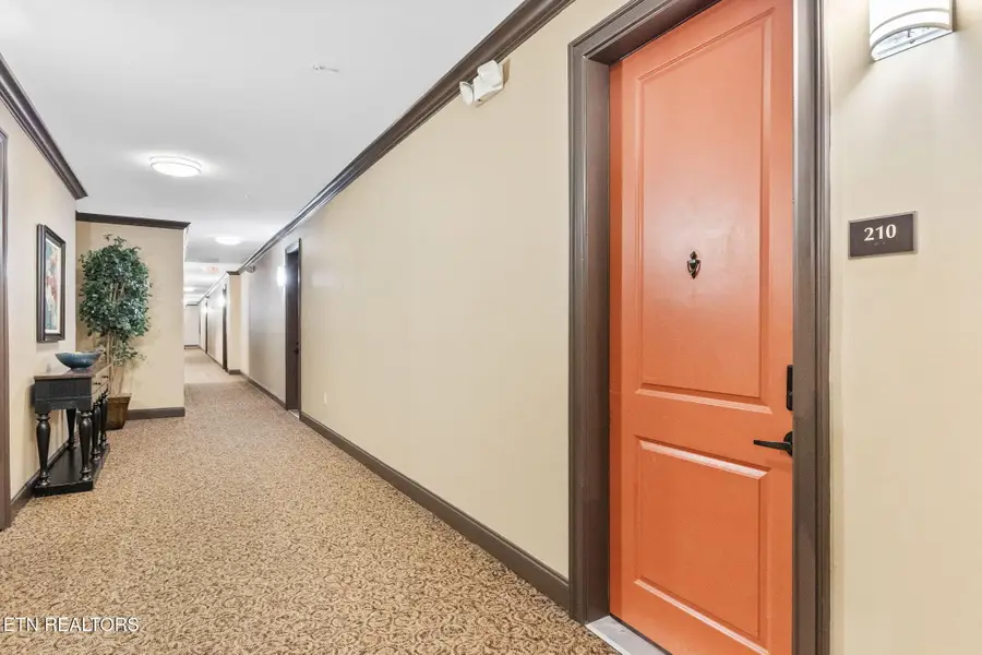 445 W Blount Ave #210, Knoxville, TN 37920 - #3