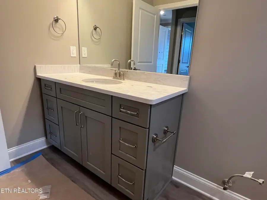 115 River Birch Drive, Lenoir City, TN 37771 - #3