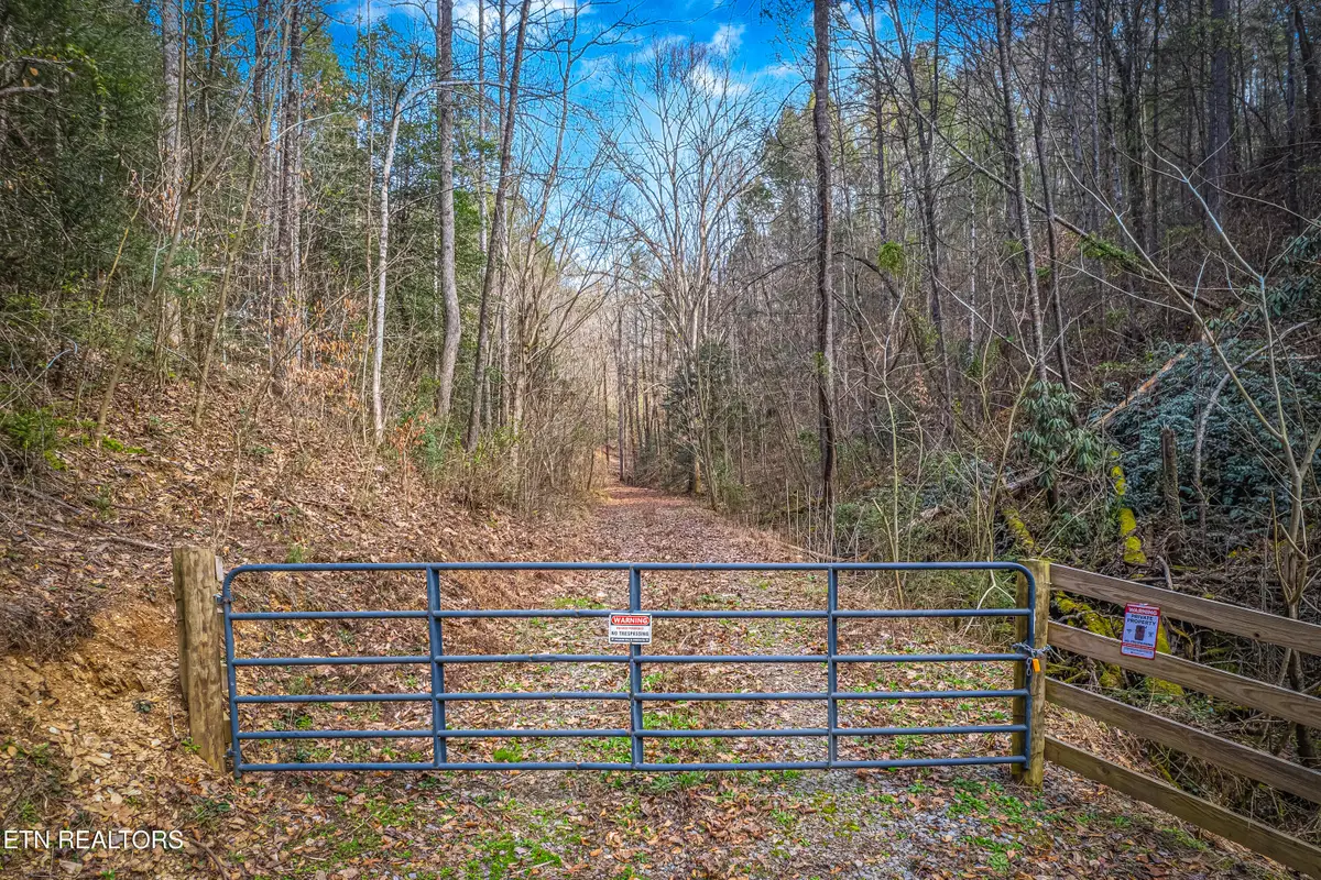 Boogertown Rd, Sevierville, TN 37876 - #1