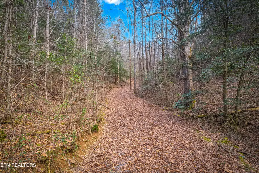 Boogertown Rd, Sevierville, TN 37876 - #3