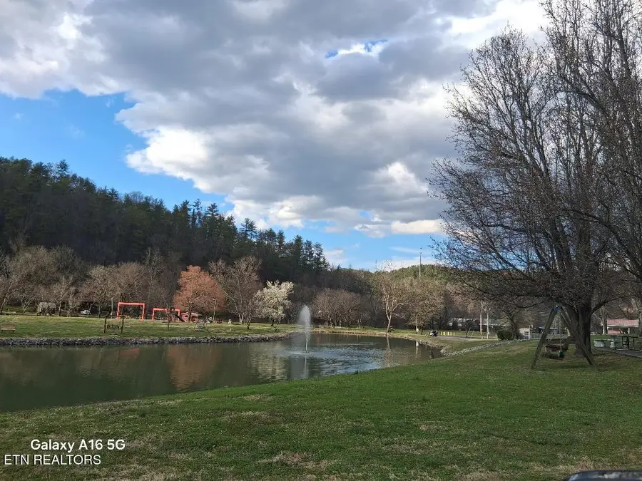 573 Flamingo Circle, Townsend, TN 37882 - #3