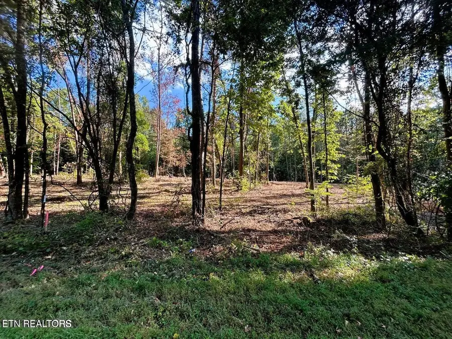 5.5 acres Pleasant Hill Rd, Ten Mile, TN 37880 - #2