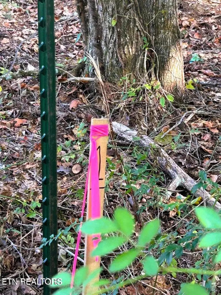 5.5 acres Pleasant Hill Rd, Ten Mile, TN 37880 - #3