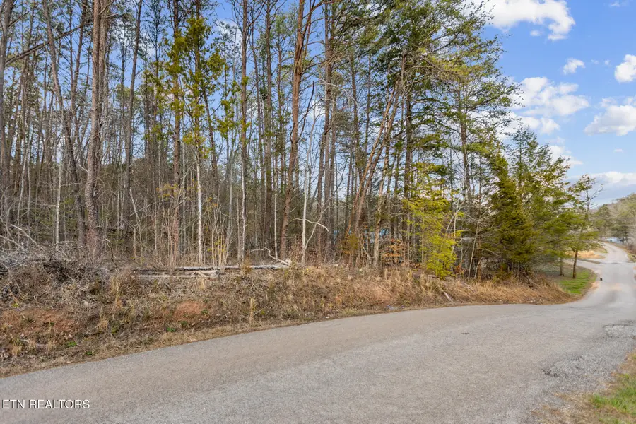 4705 Emert Williams Rd, Maryville, TN 37803 - #3